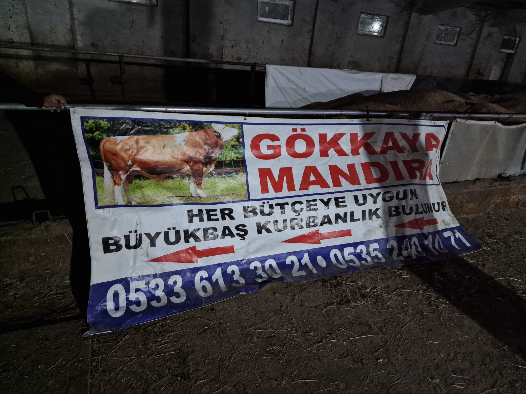 Cankiri Orta Dodurga G&ouml;kkaya Besi ciftligi 1