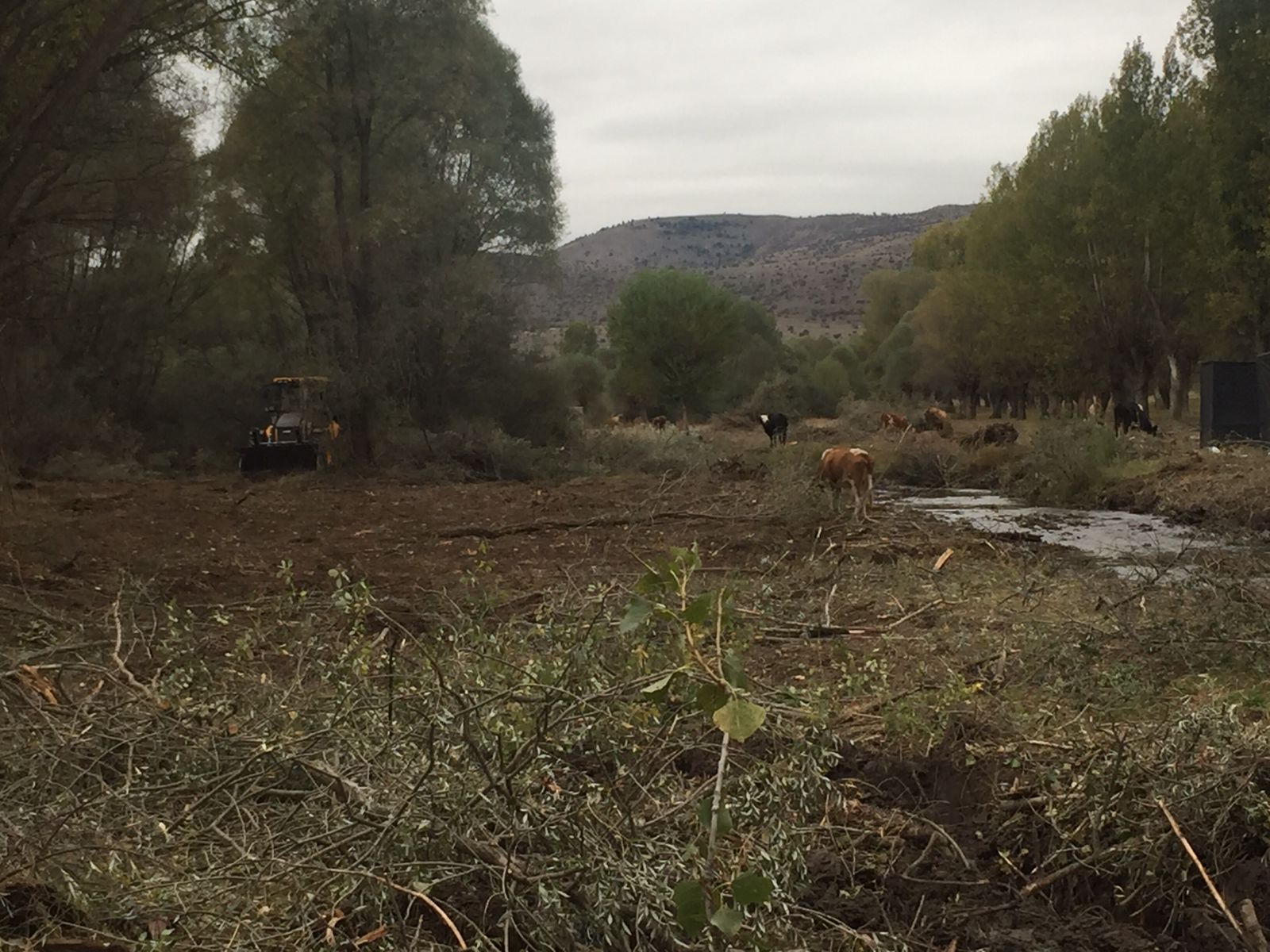 DODURGA BELEDİYESİ PİKNİK MESİRE ALANI ALT YAPI &Ccedil;ALISMALARI BAŞLAMIŞIDIR.5
